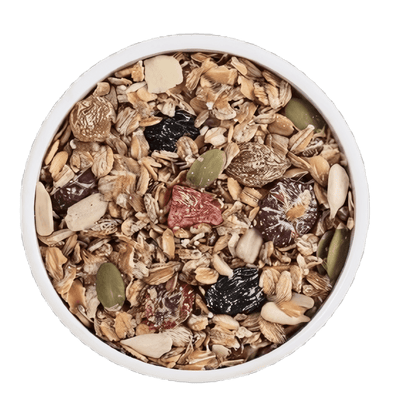 Sprouted & Overnight Soaked Oats